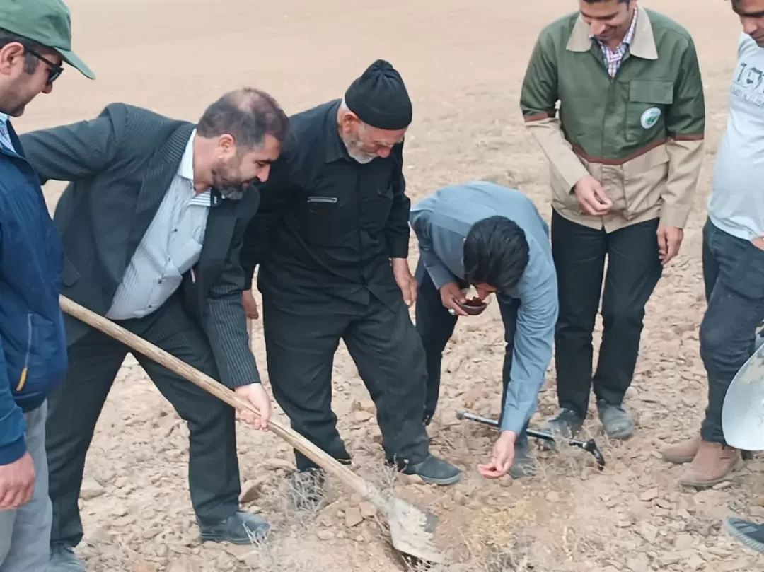پویش بذرکاری در فراهان