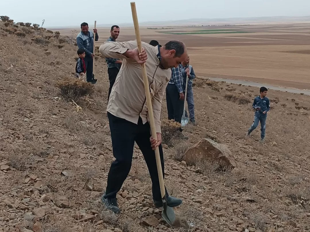 پویش بذرکاری در فراهان