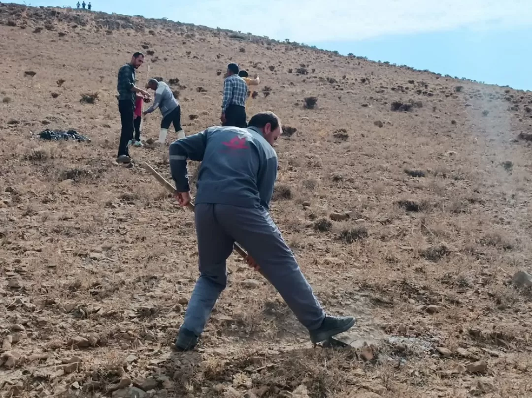پویش بذرکاری در فراهان