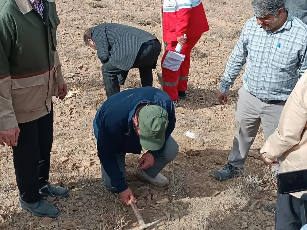 پویش بذرکاری در فراهان