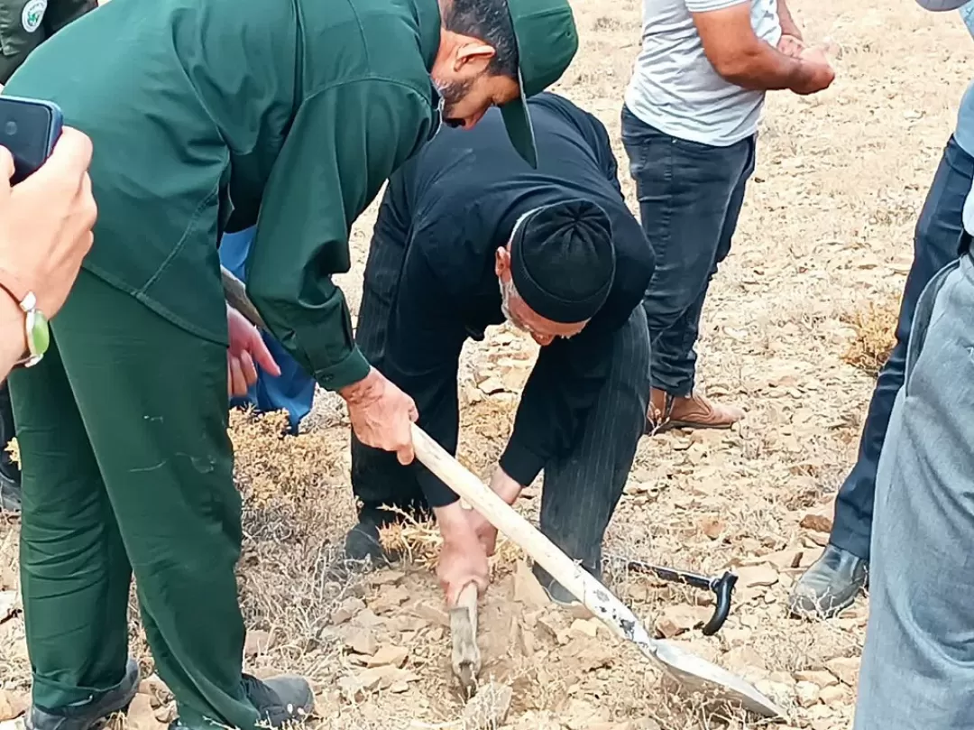 پویش بذرکاری در فراهان