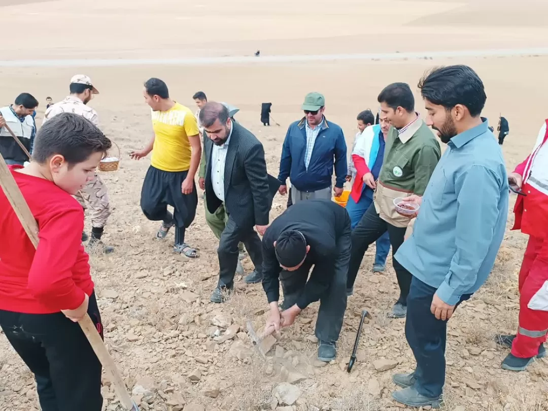 پویش بذرکاری در فراهان