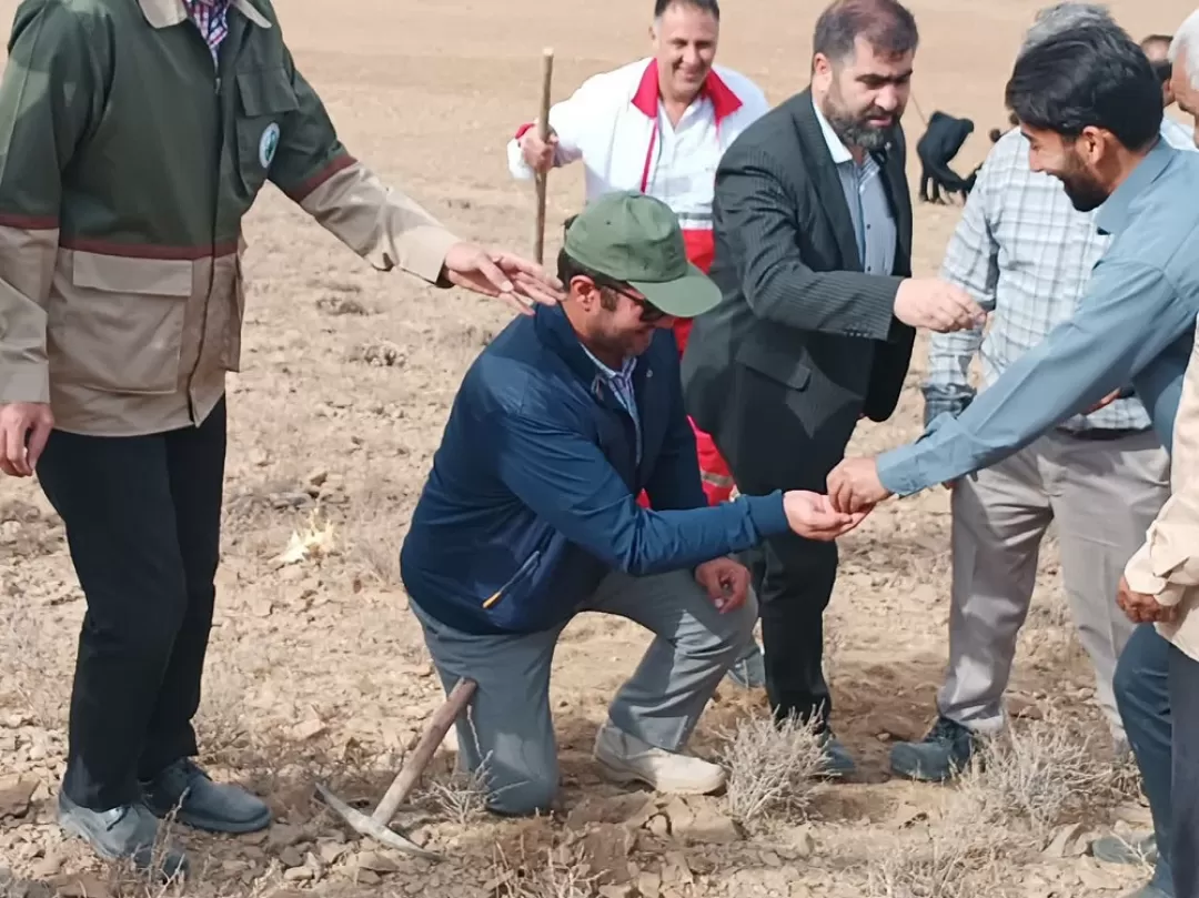 پویش بذرکاری در فراهان