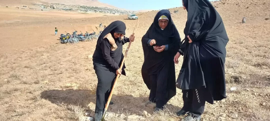 پویش بذرکاری در فراهان
