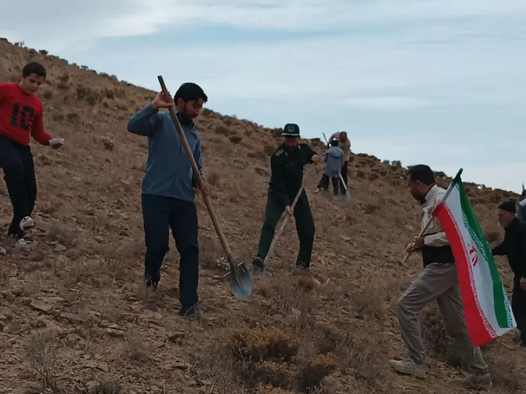 پویش بذرکاری در فراهان