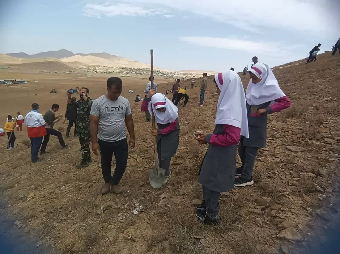پویش بذرکاری در فراهان