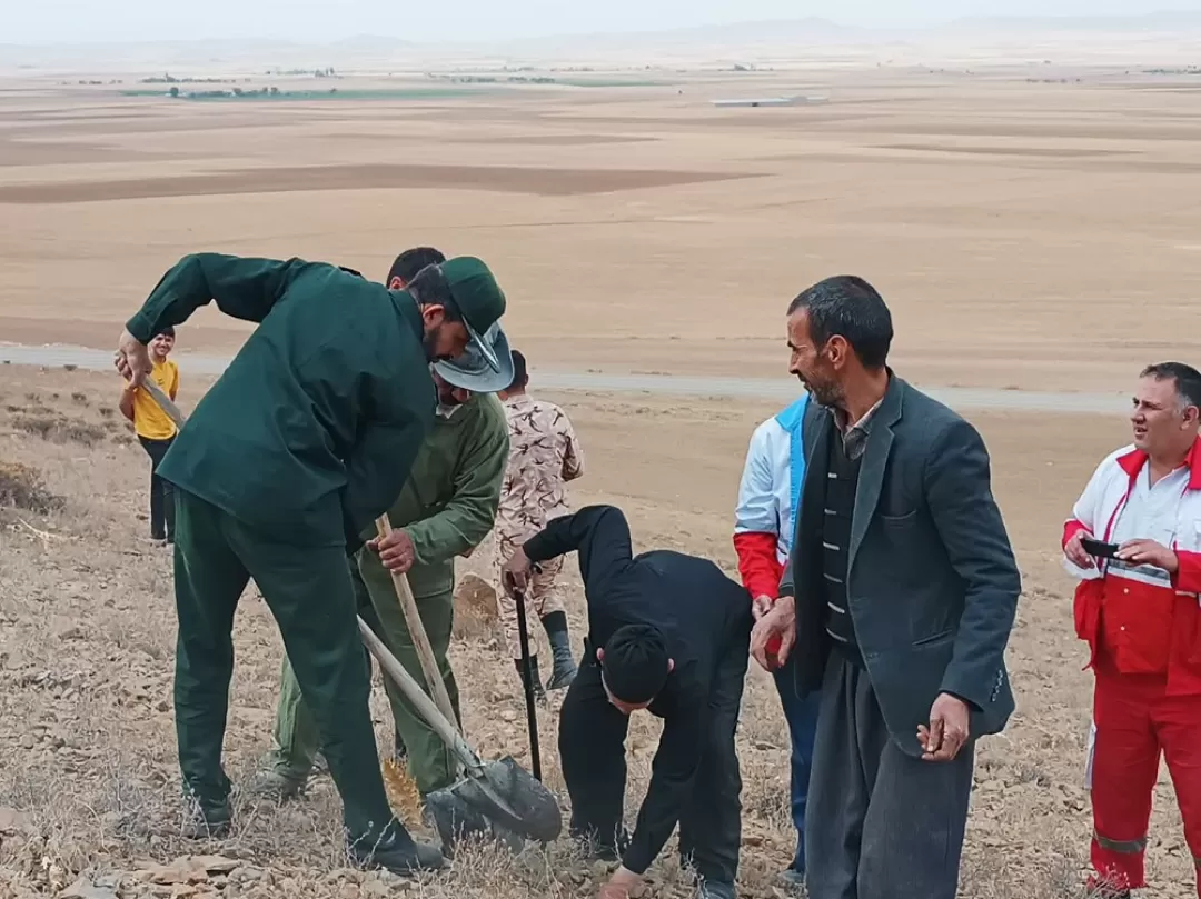 پویش بذرکاری در فراهان