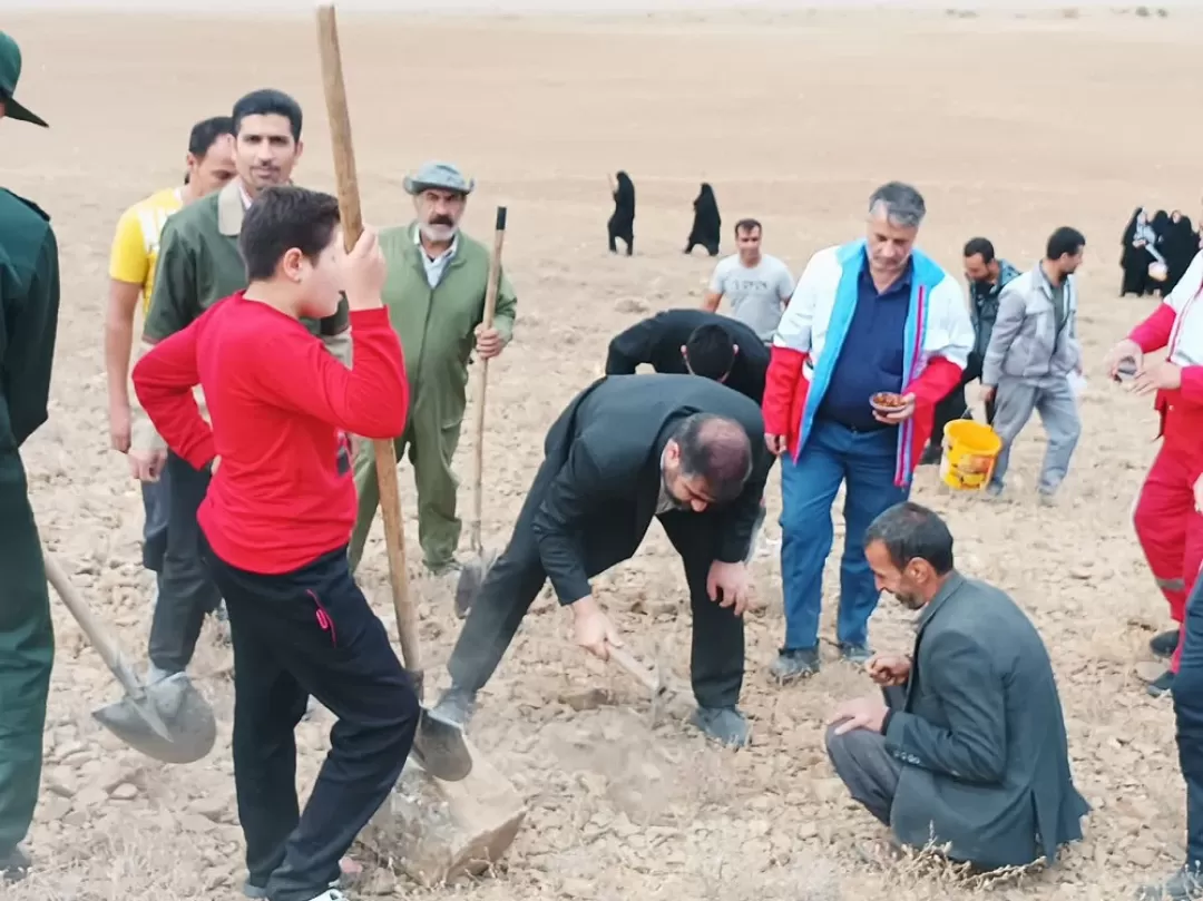 پویش بذرکاری در فراهان