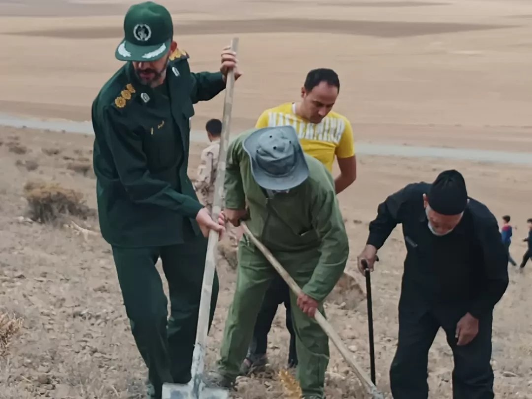 پویش بذرکاری در فراهان