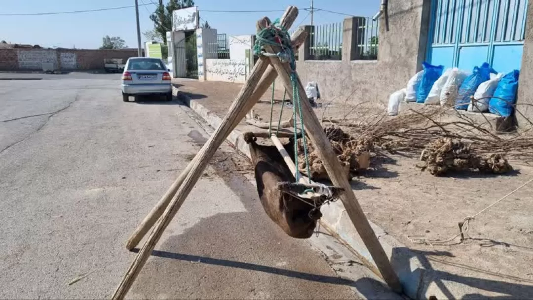 پاسداشت ثبت جهانی کاروانسرای «باغ شیخ» ساوه