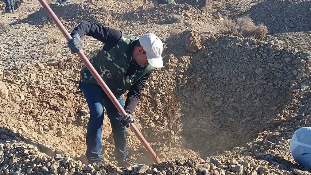 کاشت نهال توسط بسیجیان اراک