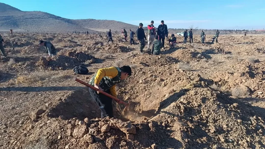 کاشت نهال توسط بسیجیان اراک