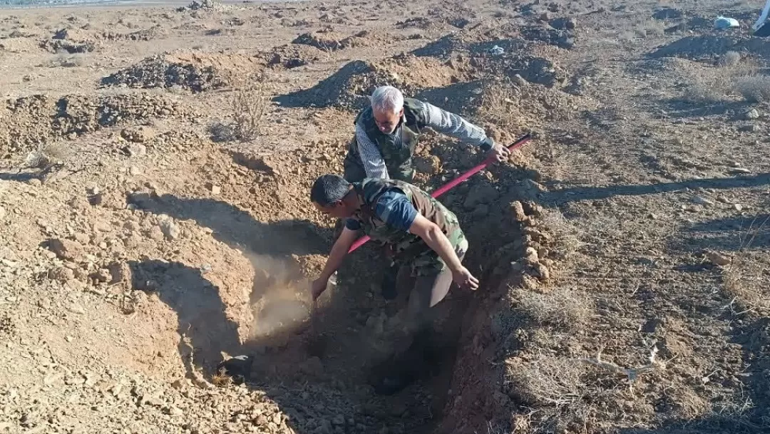 کاشت نهال توسط بسیجیان اراک