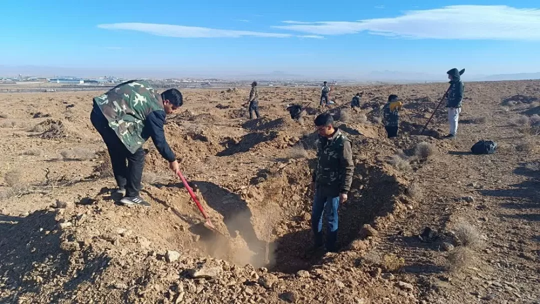 کاشت نهال توسط بسیجیان اراک
