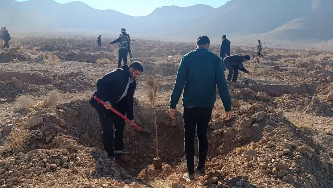 کاشت نهال توسط بسیجیان اراک
