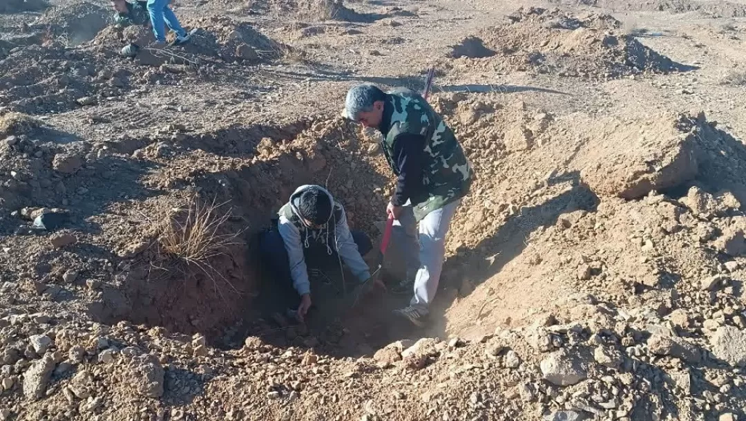 کاشت نهال توسط بسیجیان اراک
