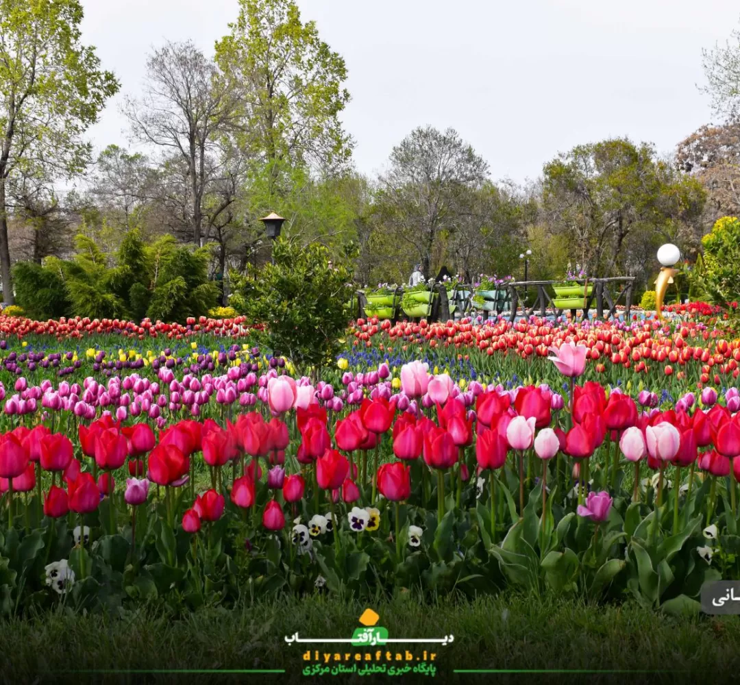 جشنواره گل‌های لاله در اراک