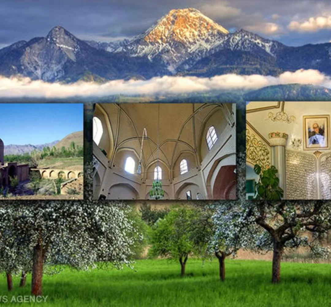 واکنش کاربران فضای مجازی به روز تفرش