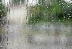 اولین بارش باران سال جدید در اراک