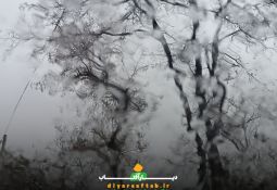 بارش باران نعمت الهی در اراک
