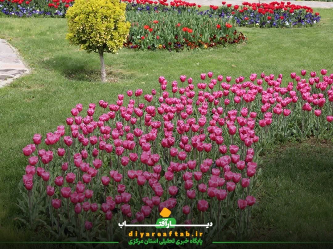 جشنواره باغ گل‌های لاله در اراک