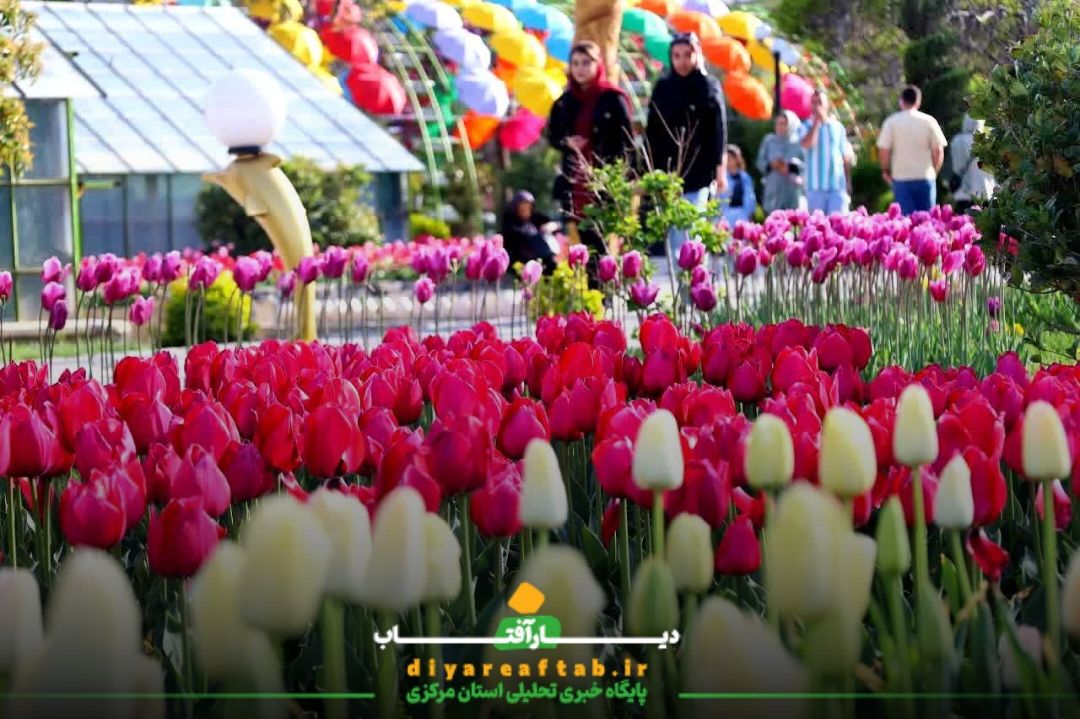 جشنواره باغ گل‌های لاله در اراک