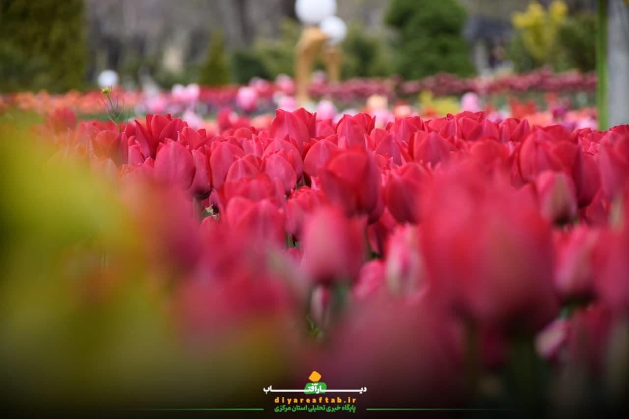 جشنواره باغ لاله‌ها در اراک