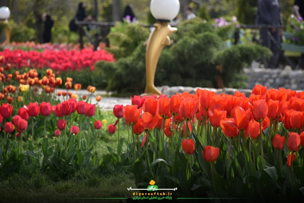 جشنواره باغ لاله‌ها در اراک