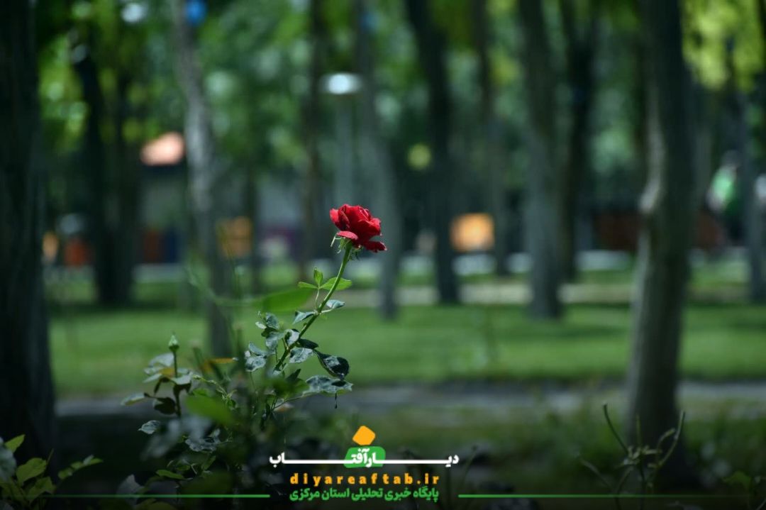 فضای سبز شریان کلانشهر اراک