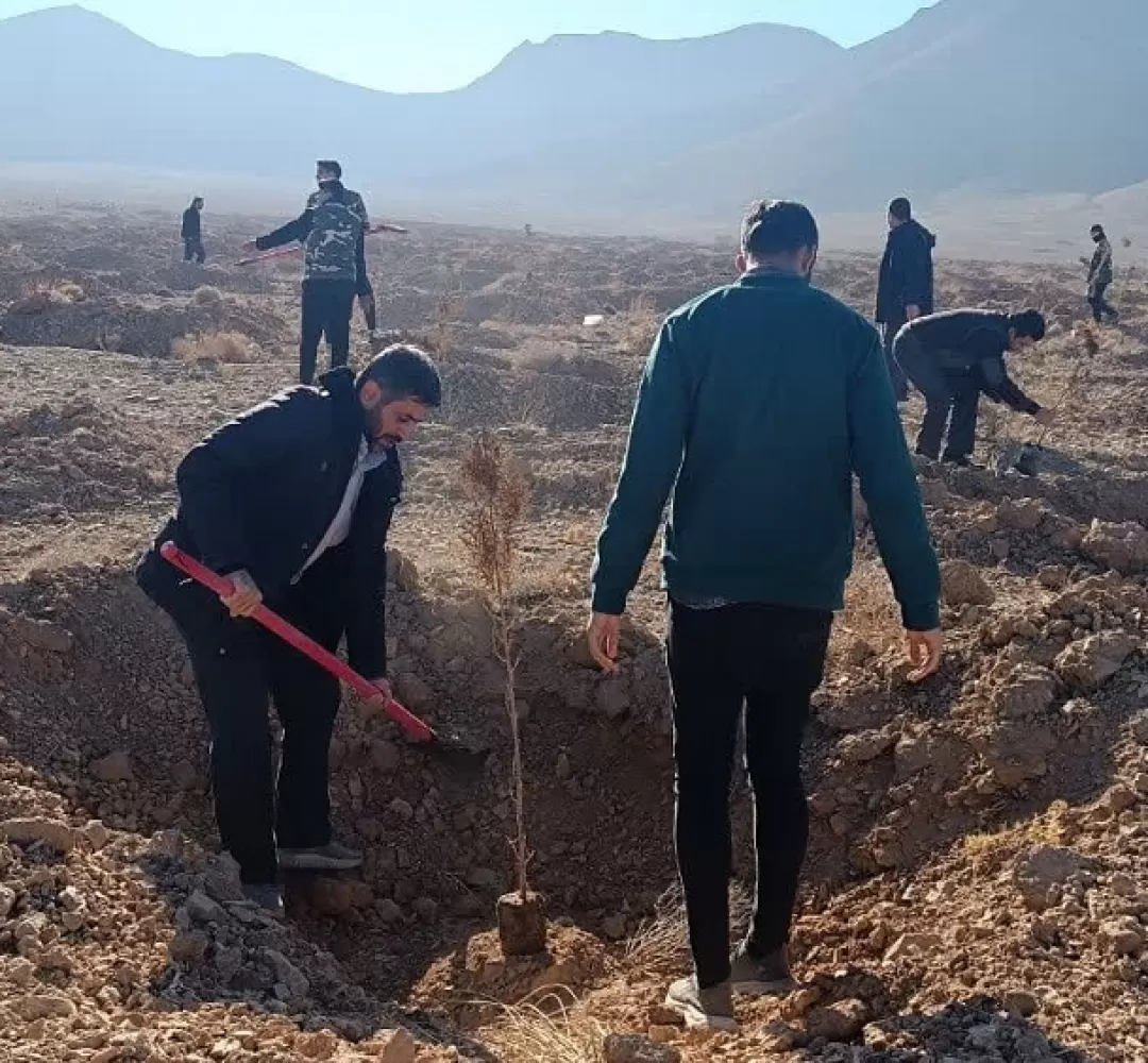 کاشت نهال توسط بسیجیان اراک