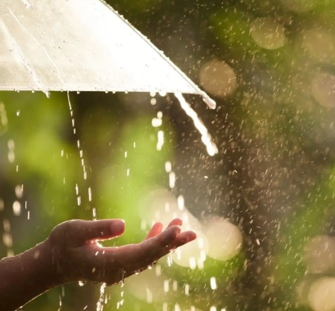 باران، شهر، زندگی