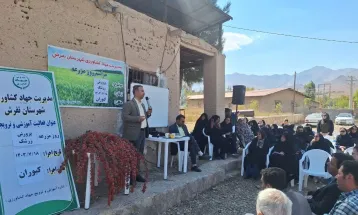 برگزاری روز مزرعه برداشت زرشک