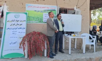 برگزاری روز مزرعه برداشت زرشک