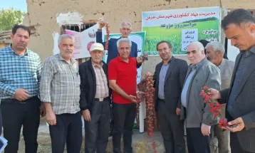 برگزاری روز مزرعه برداشت زرشک
