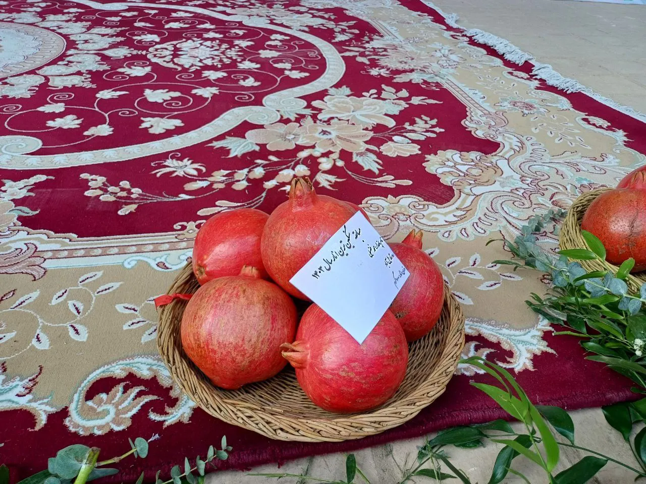 سومین جشنواره ملّی انار ساوه