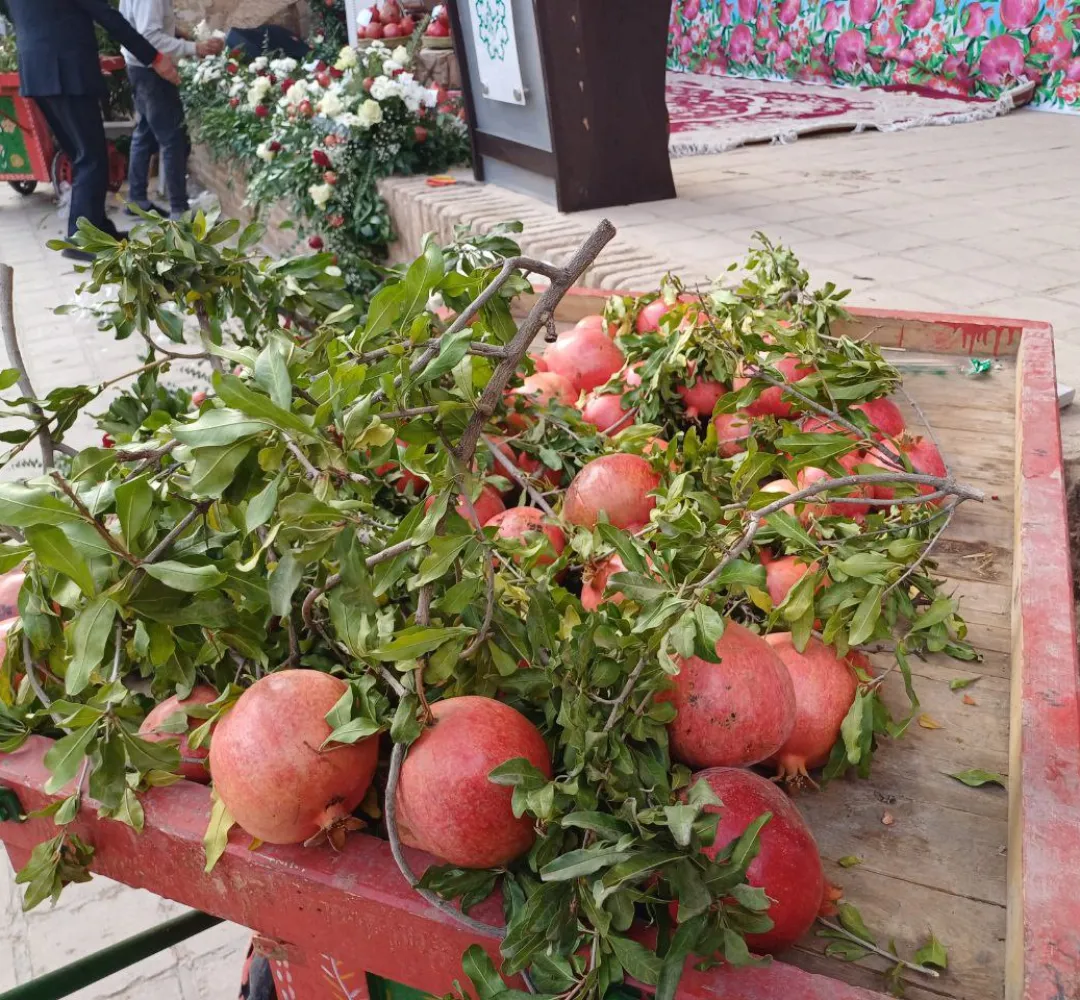 رونمایی از سرود ویژه جشنواره انار ساوه