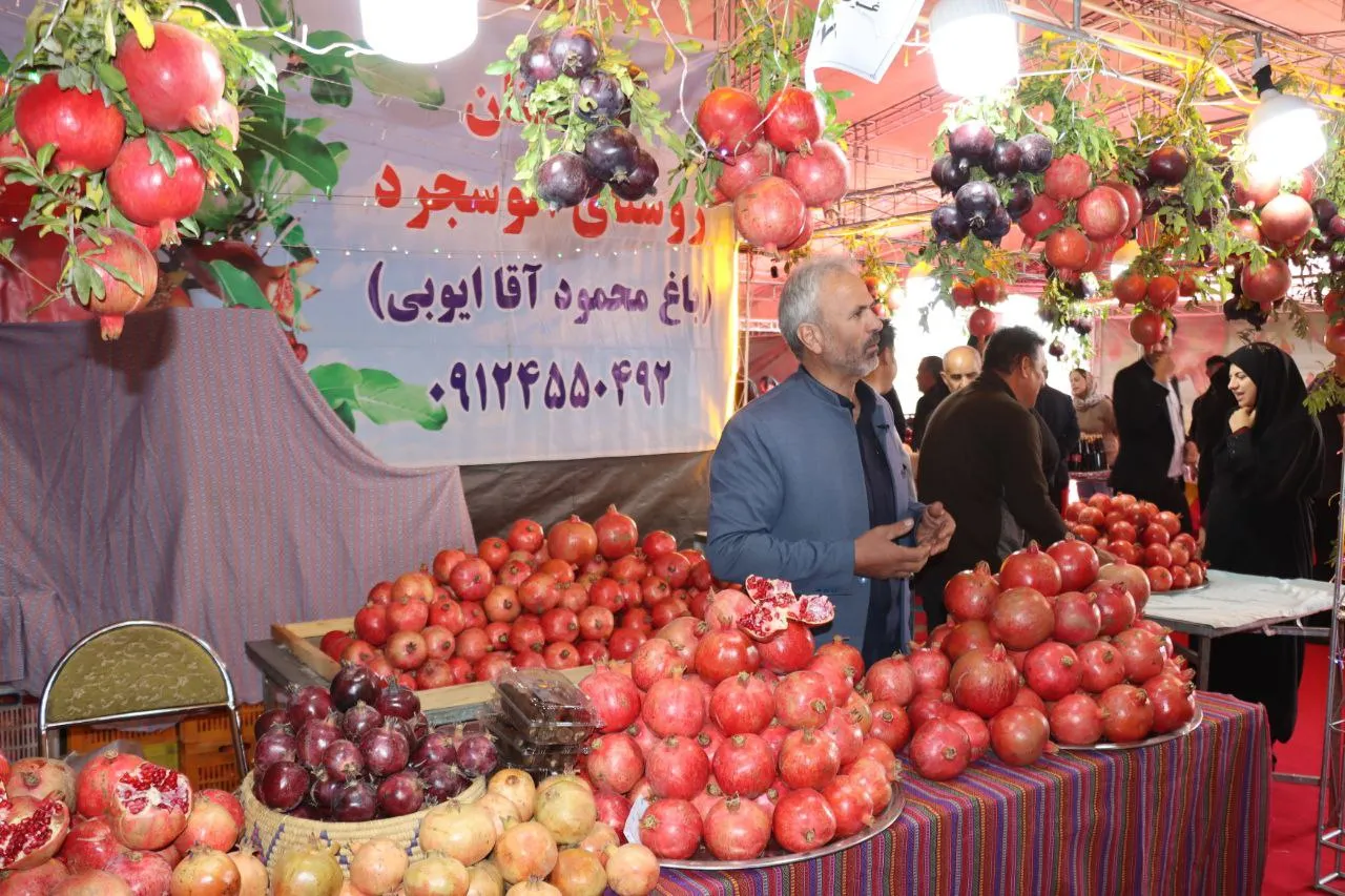 جشنواره انار ساوه