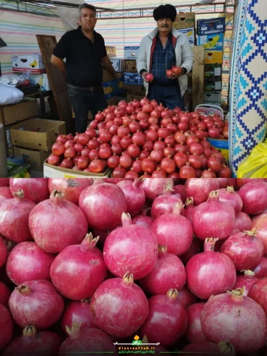 جشنواره انار در «خورهه»