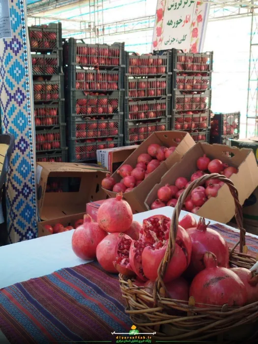 جشنواره انار در «خورهه»