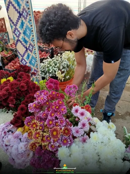 جشنواره انار در «خورهه»