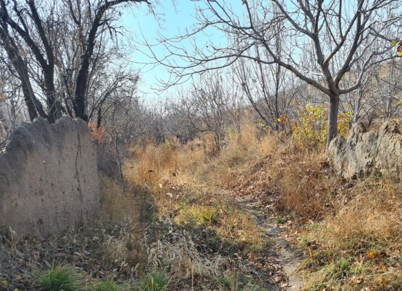 پاییز رنگی در روستای جوشقان