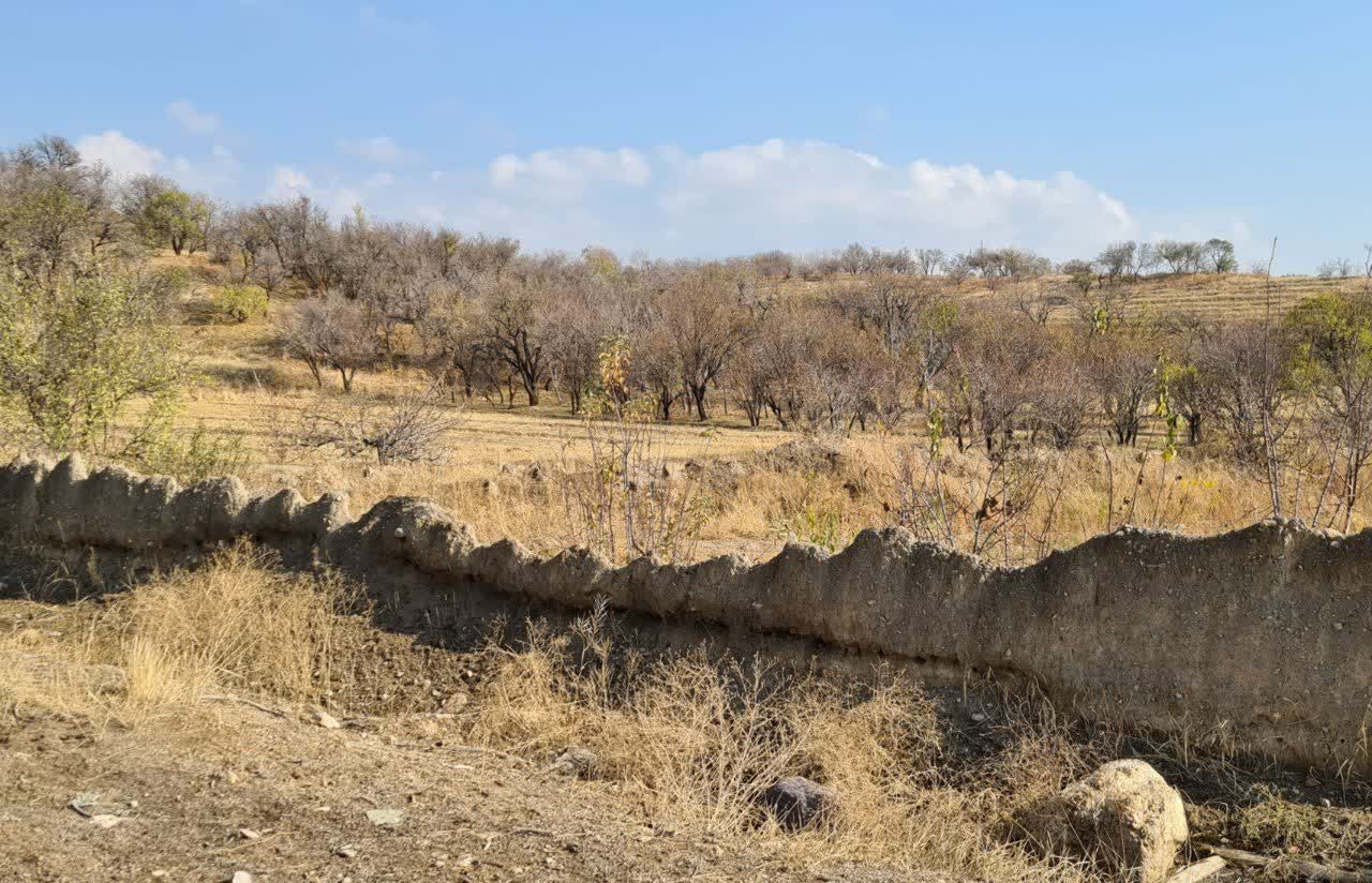 پاییز رنگی در روستای جوشقان