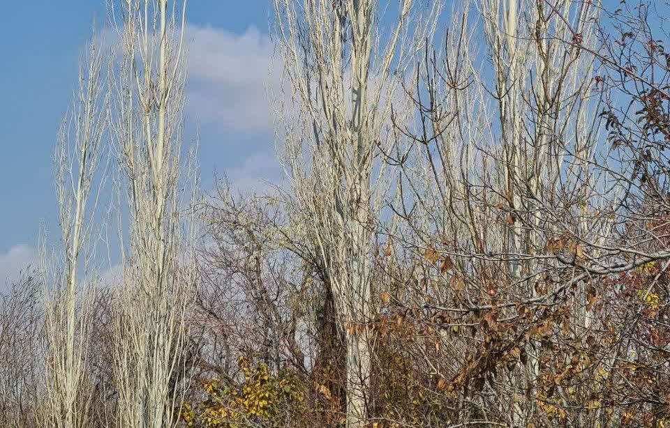 پاییز رنگی در روستای جوشقان