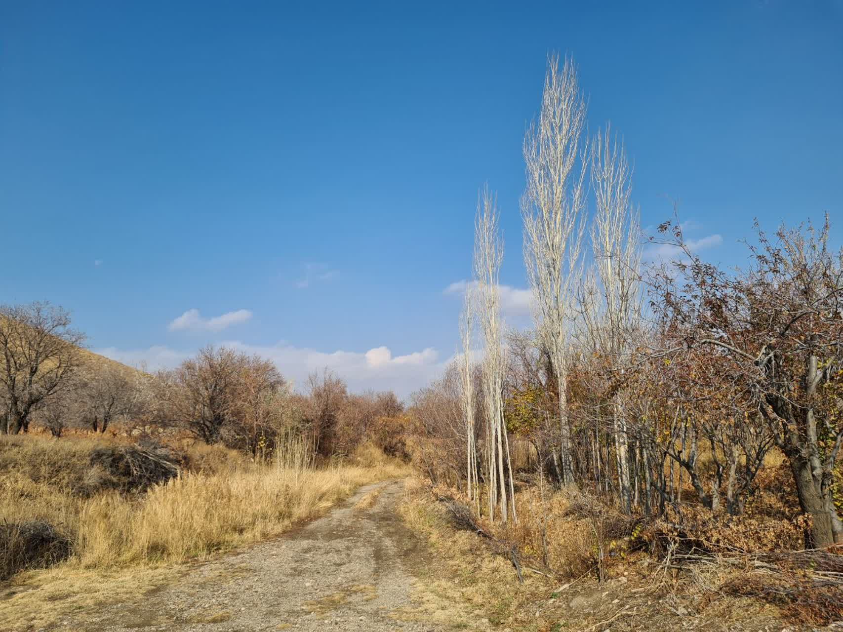 پاییز رنگی در روستای جوشقان