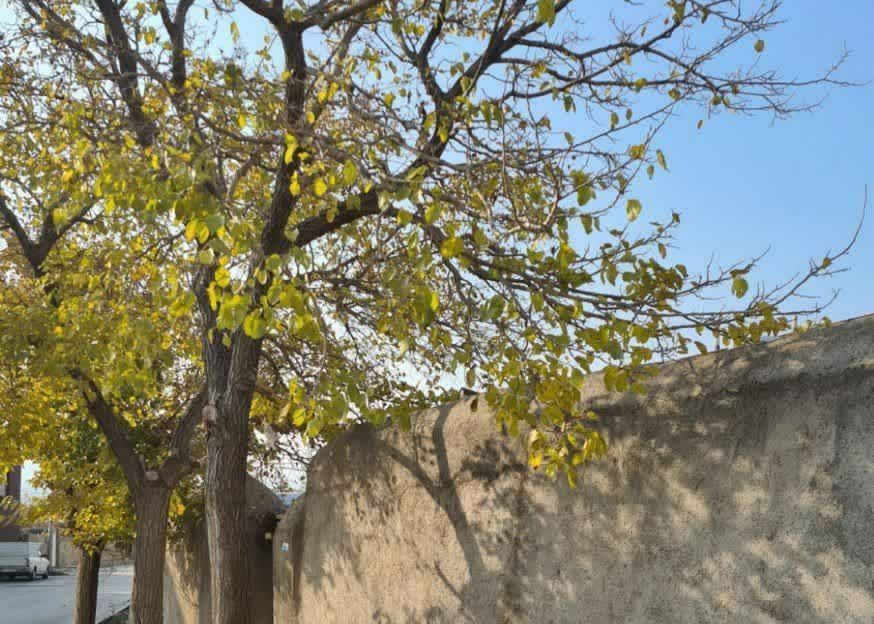 پاییز رنگی در روستای جوشقان