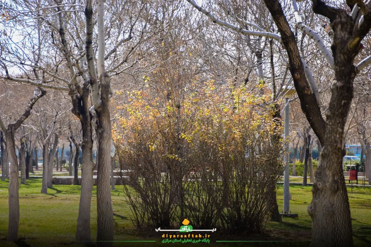 زیبایی‌های طبیعت فصل برگ‌ریزان در اراک