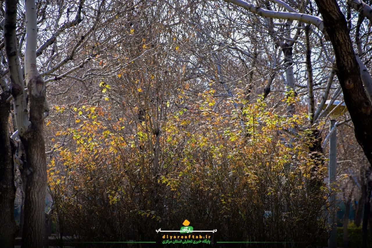 زیبایی‌های طبیعت فصل برگ‌ریزان در اراک