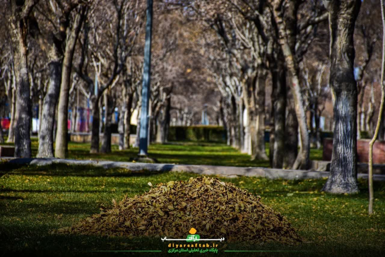 زیبایی‌های طبیعت فصل برگ‌ریزان در اراک