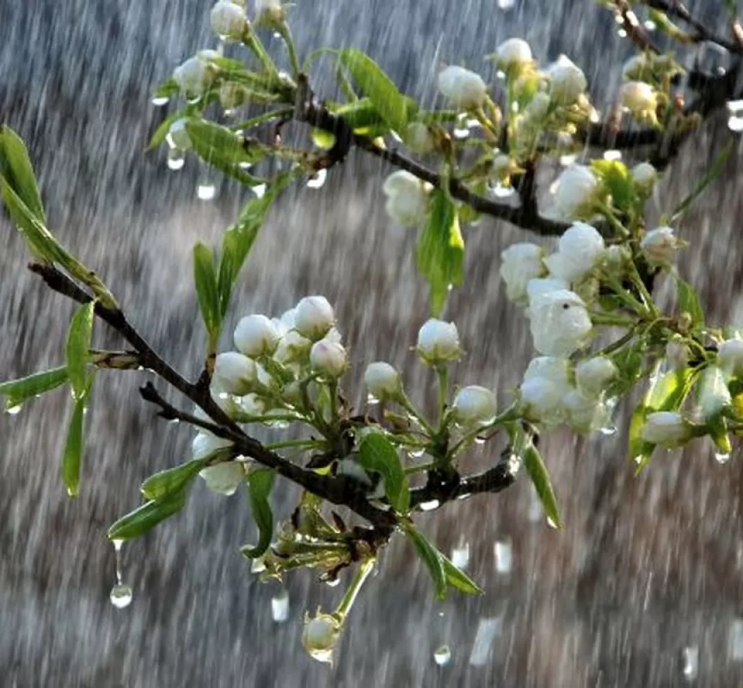 بازش رحمت زیبای الهی در اراک