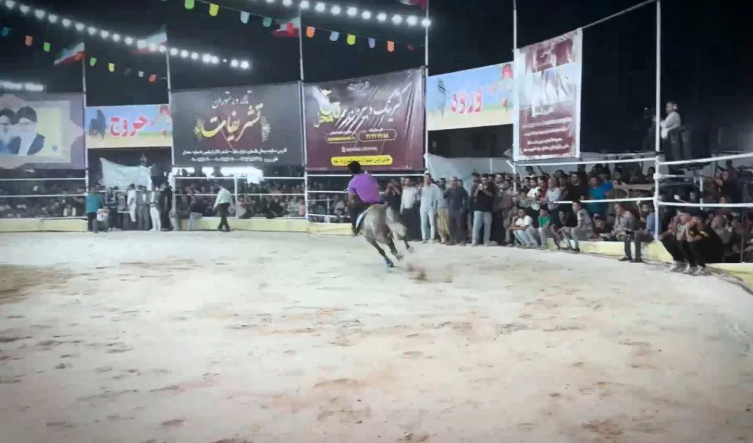 همایش کشوری سواره اسب در ساوه برگزار شد